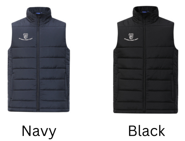 Men puffer colours